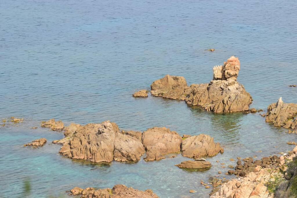 Ajaccio Splendide Vue Mer מראה חיצוני תמונה